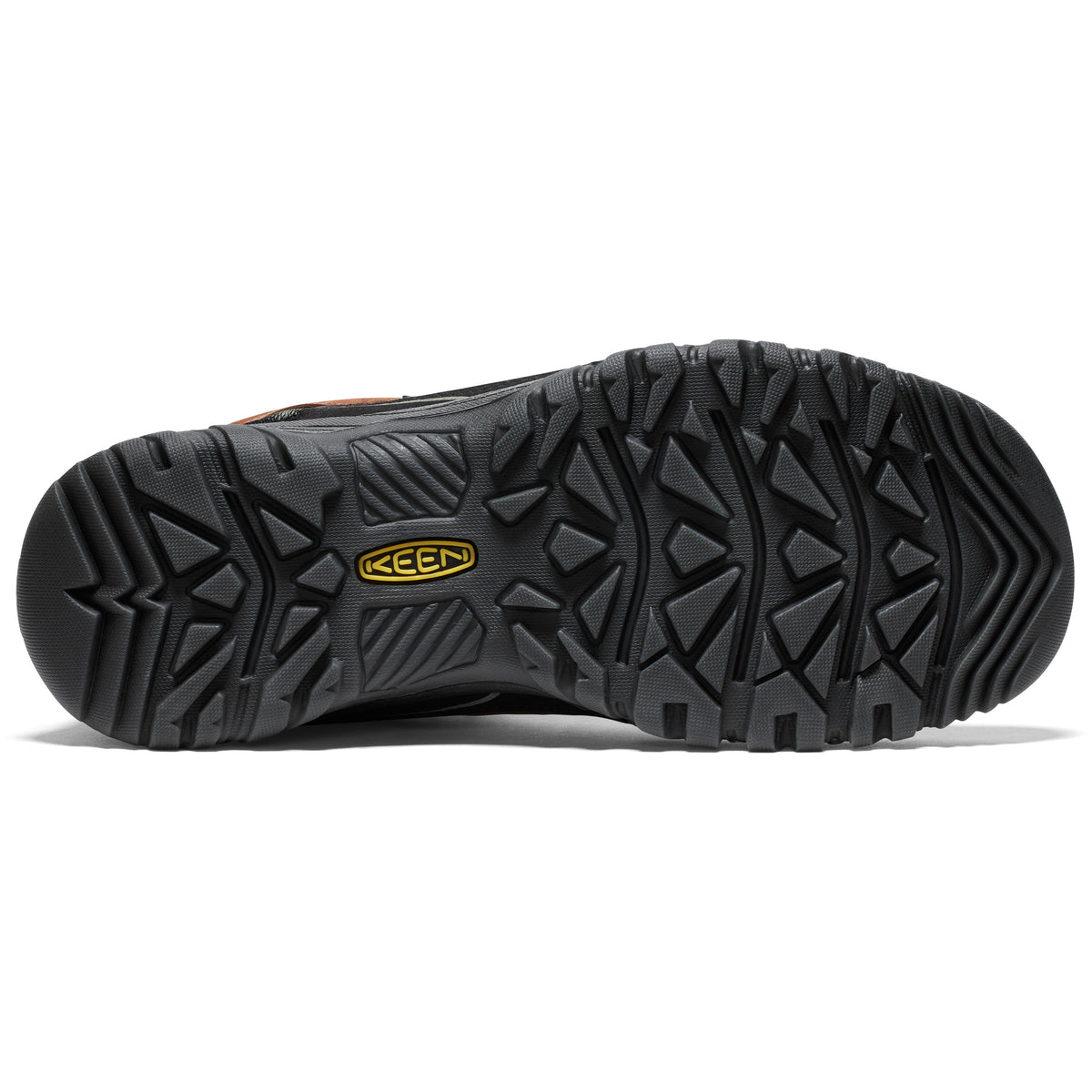 Bison Black