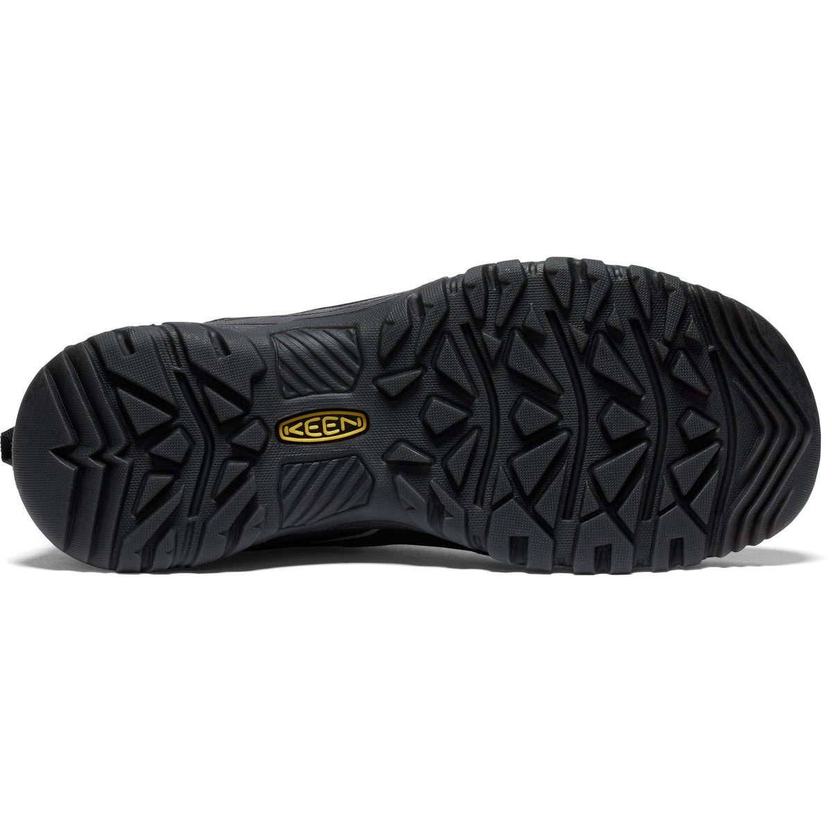 Men's Targhee IV Mid Waterproof Wide Bison Brindle