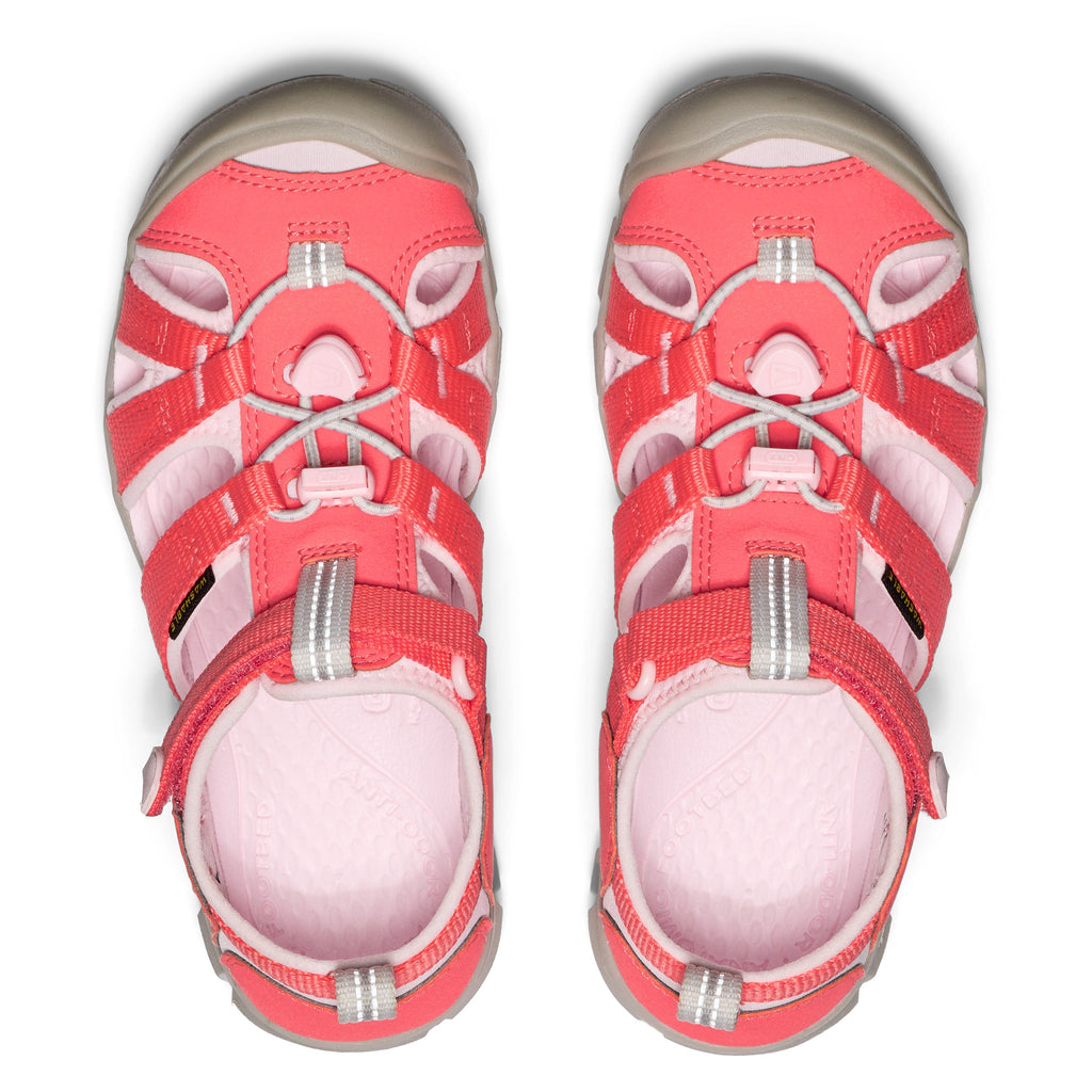 Dubarry Pink-A-Boo