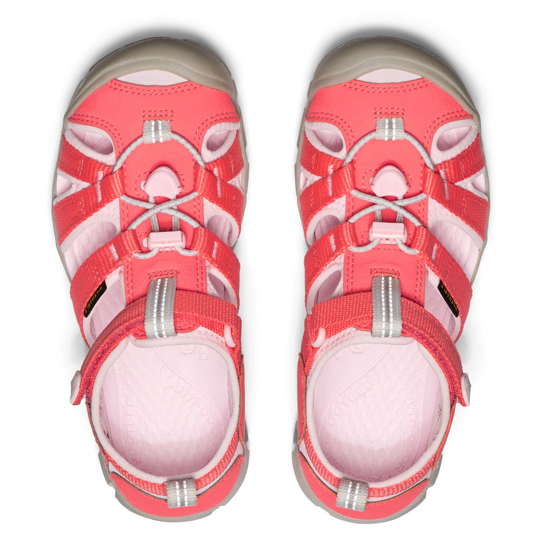 Dubarry Pink-A-Boo
