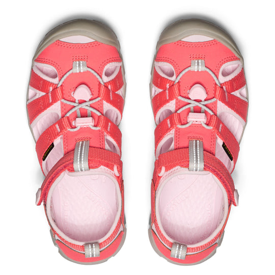 Dubarry Pink-A-Boo