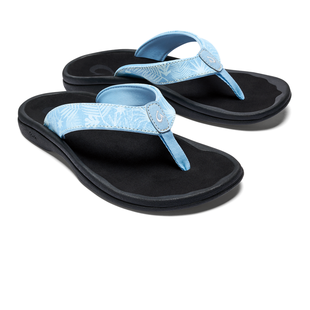 Pale Blue / Black