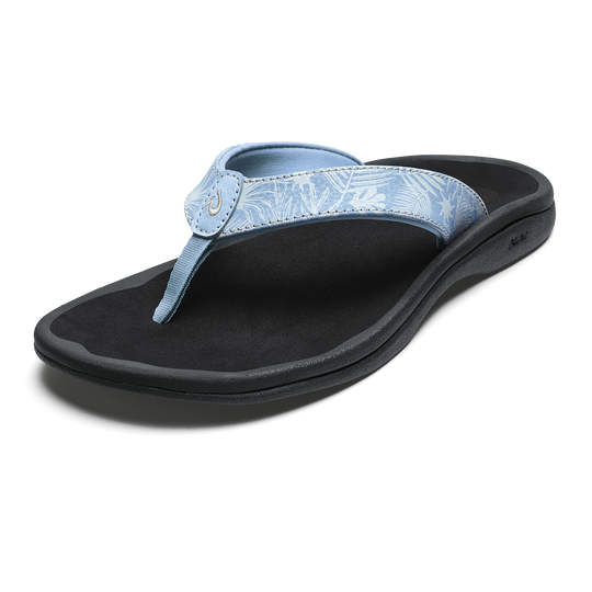 Pale Blue / Black